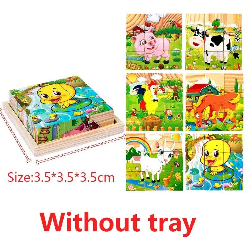 3D Montessori Cube Wooden Kids Puzzle